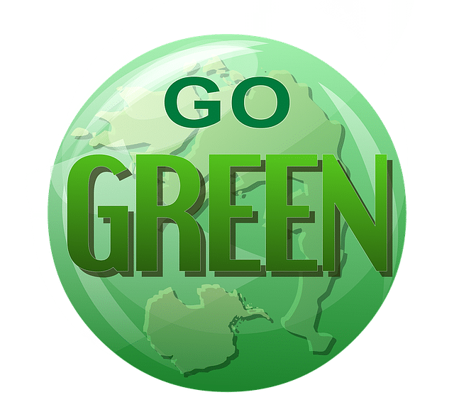 alt="Go Green Globe represents embracing sustainability initiatives"