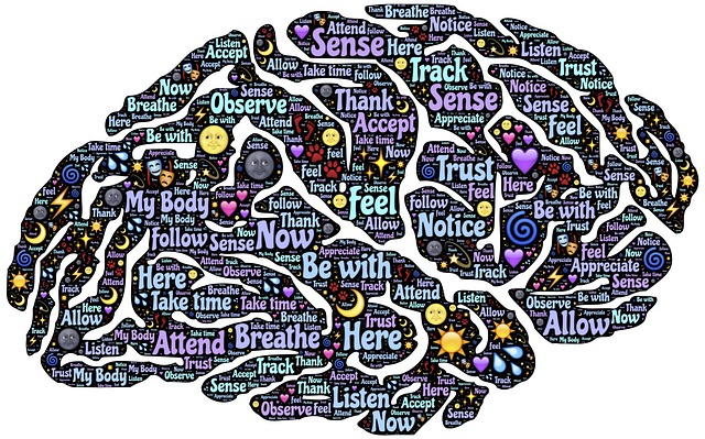 Understanding the connection between the structure of a story and how the brain absorbs and processes it is at the core of the Business of Story